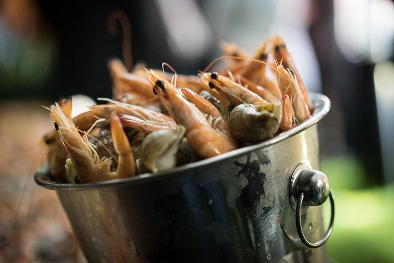 CEN PRODUCTION - crevettes et bulot