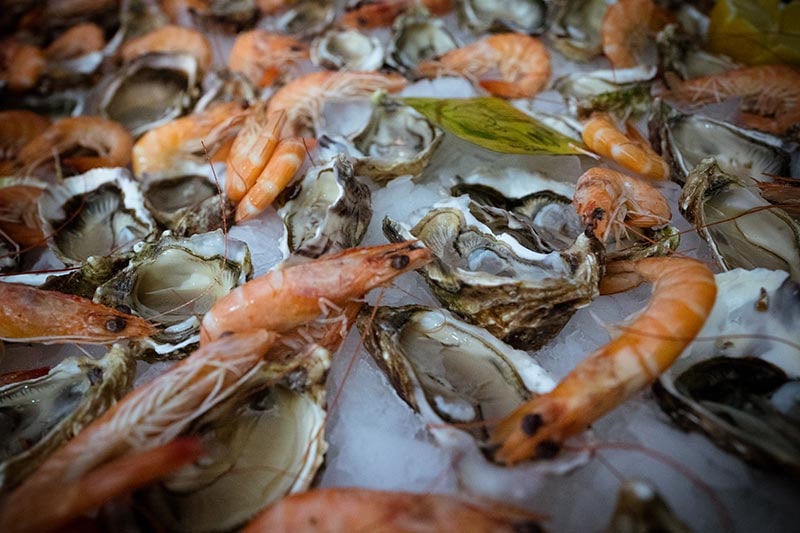 CEN PRODUCTION -  huitres et crevettes