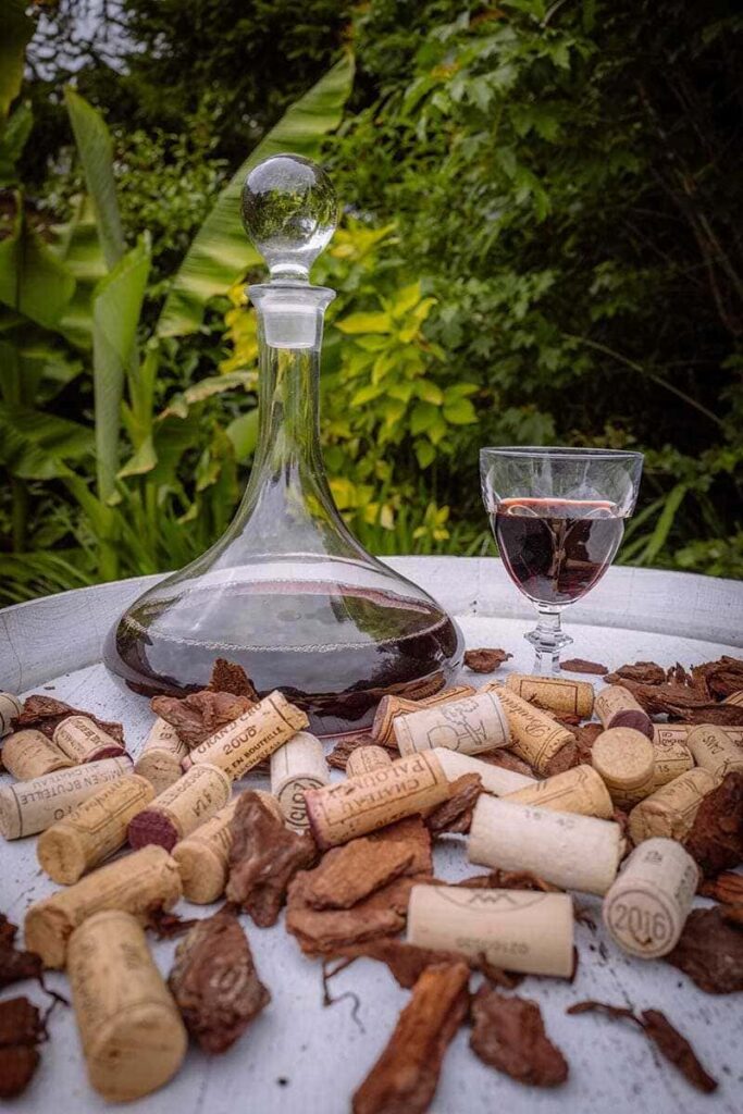 CEN PRODUCTION -  pichet de vin